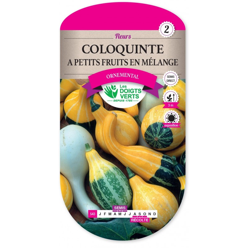 COLOQUINTE A PETITS FRUITS EN MELANGE cat2