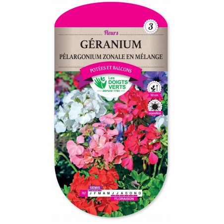 GERANIUM PELARGONIUM ZONALE EN MELANGE cat3