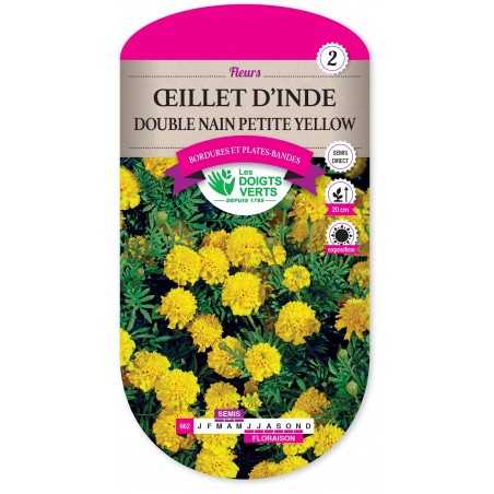 OEILLET D'INDE DOUBLE NAIN PETITE YELLOW cat2 OEILLET D'INDE DOUBLE NAIN PETITE YELLOW cat2