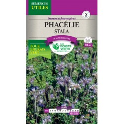 PHACELIA
