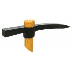 PIC DE BRIQUETIER 1135