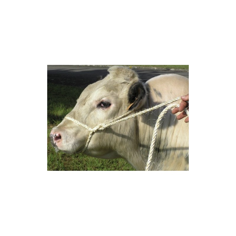 LONGE MIXTE SISAL PP
