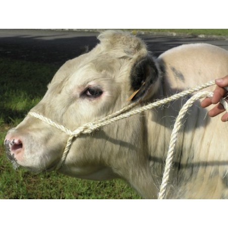 LONGE MIXTE SISAL PP