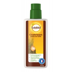 CICATRISANT 300G - SOLABIOL