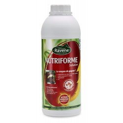 NUTRIFORME 1L - RAVENE
