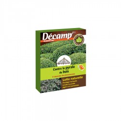 PYRALE DU BUIS - DECAMP'