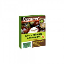 MINEUSE DU MARRONNIER -...