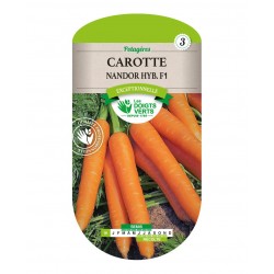 CAROTTE NANDOR HYBRIDE F1 -...