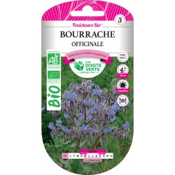 BOURRACHE OFFICINALE BIO -...