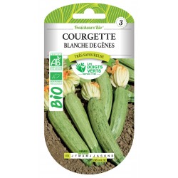 COURGETTE BLANCHE DE GÊNES...