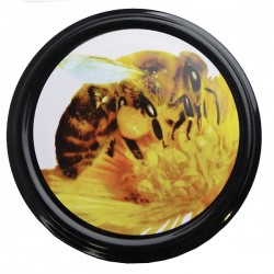 CAPSULE MÉTALLIQUE...