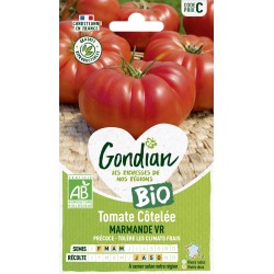 TOMATE MARMANDE VR BIO -...