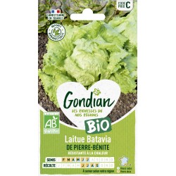 LAITUE PIERRE BÉNITE BIO -...