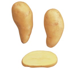 SAC 3KG POMME DE TERRE...