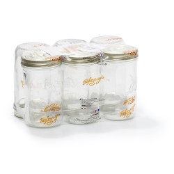 6 TERRINES FAMILIA WISS...