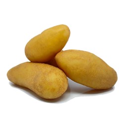 SAC 1.5KG POMME DE TERRE...