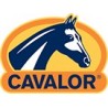 CAVALOR