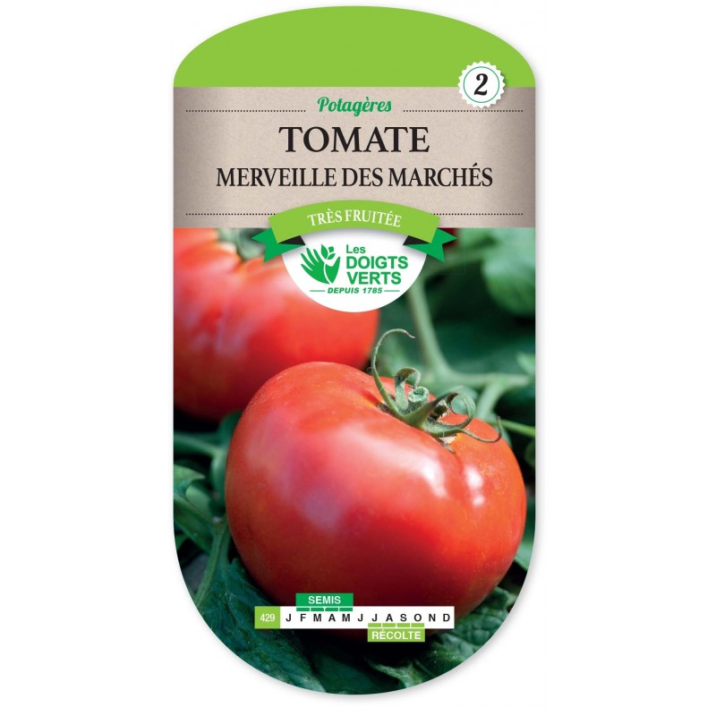 TOMATE MERVEILLE DES MARCHES CAT2