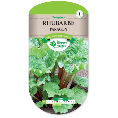 RHUBARBE CAT 1