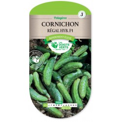 CORNICHON RÉGAL HYBRIDE F1  cat3