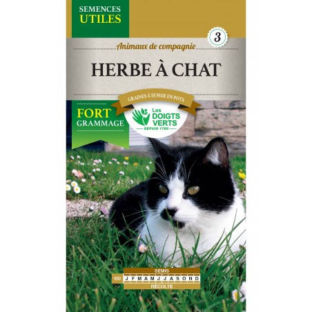 HERBE A CHAT CAT3