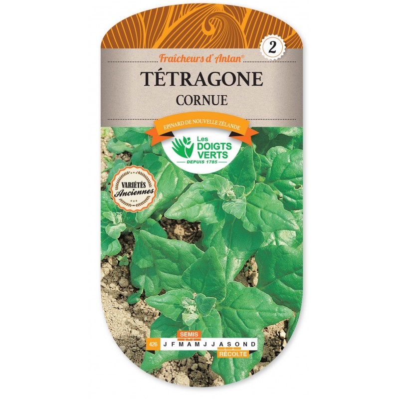 TETRAGONE CORNUE CAT2