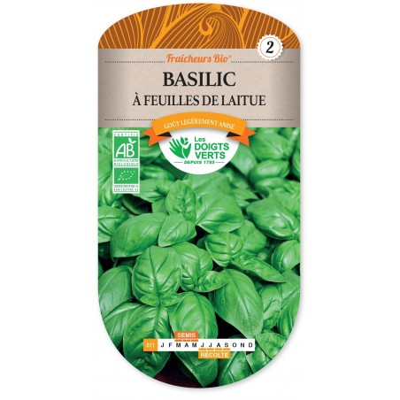 BASILIC A FEUILLES DE LAITUE cat2 BASILIC A FEUILLES DE LAITUE cat2