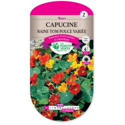 CAPUCINE NAINE TOM POUCE VARIE cat2