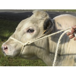 LONGE MIXTE PP SISAL