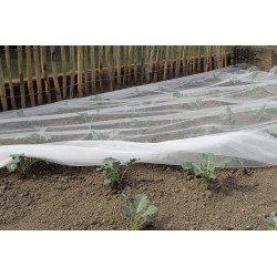 FILET ANTI-INSECTES 5M -...