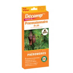 PROCESSIONNAIRE DU PIN...