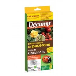 COCCINELLE SEPTEMPUNCTATA...