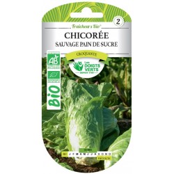 CHICORÉE SAUVAGE PAIN DE...