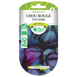 CHOU ROUGE TÊTE NOIRE BIO -...