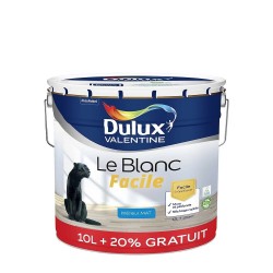 BLANC FACILE MAT 10L+20% -...