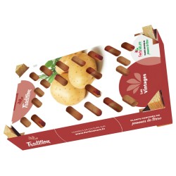 CLAYETTE 100 PLANTS POMMES...