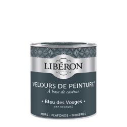 VELOURS DE PEINTURE BLEU...