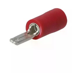 15 COSSES MALES 2.8 ROUGE